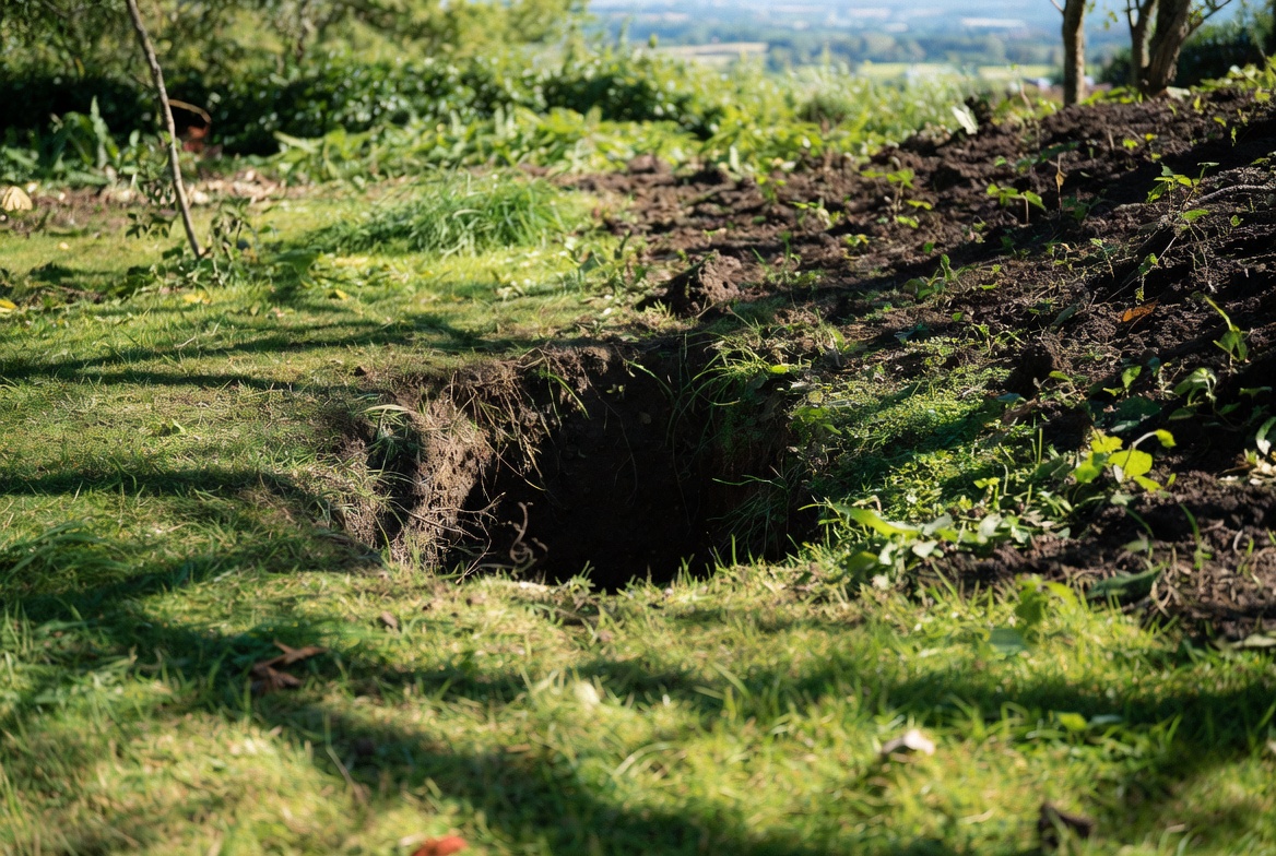 Trou dans le jardin sans monticule : quel animal ?