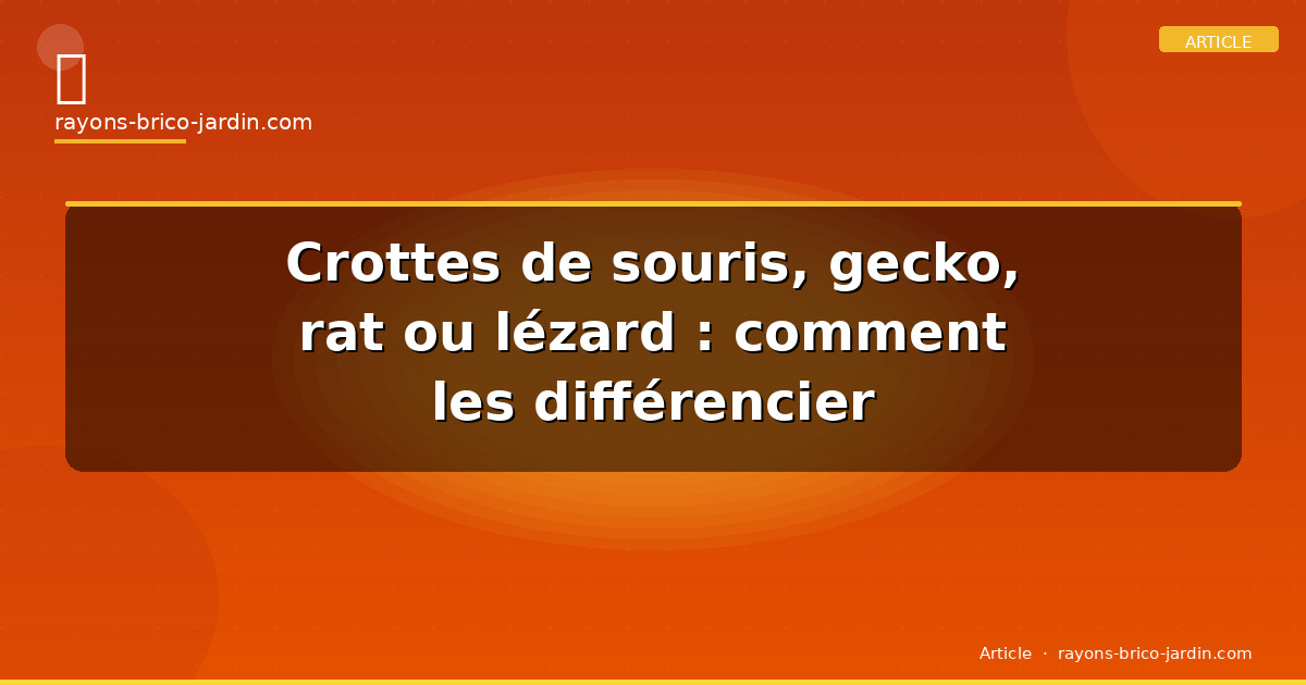 Crottes de souris, gecko, rat ou lézard : comment les différencier